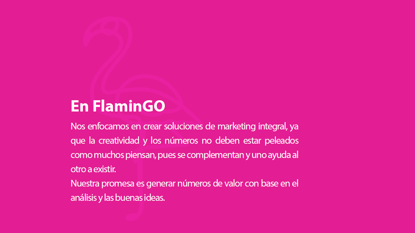 FlaminGo Quienes Somos 1
